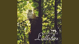 Subtle Wing Echo Singing