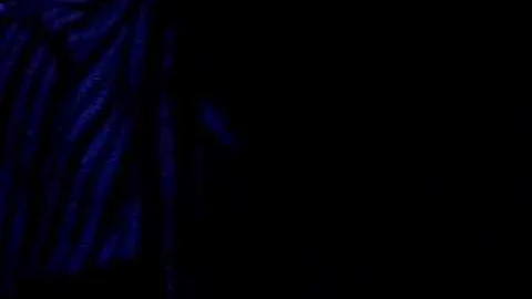 Justin Pettit Sings "What is Love"