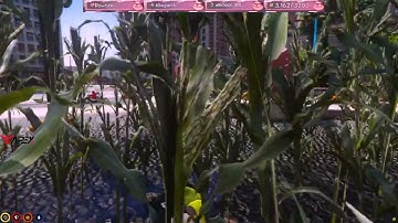 What Carmella Said to Tommy T | GTA RP NoPixel 3.0