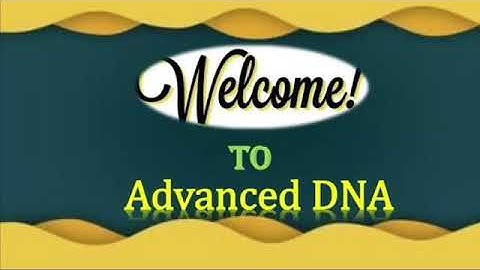 How to Read report of Paternity DNA test