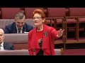 ‘A mob of idiots’: Hanson obliterates Labor’s net zero spending obsession