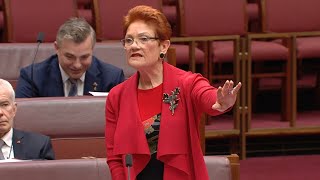‘A mob of idiots’: Hanson obliterates Labor’s net zero spending obsession