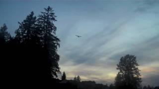 Super Cub First Crash