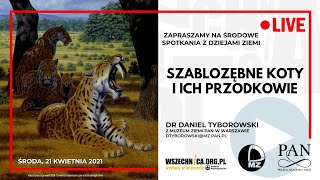 Szablozębne koty i ich przodkowie / Dr Daniel Tyborowski