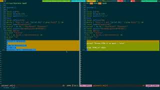 Vimdiff Can Be Useful With A Bash Wrapper 2022_08_18_15:21:21