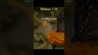 How to read  Matthew 1:25  in Portuguese? 📖