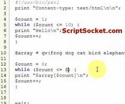 Perl Tutorial 12 - The While Loop, The Until Loop