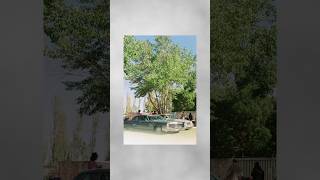 1965 Cadillac Deville shot on film!