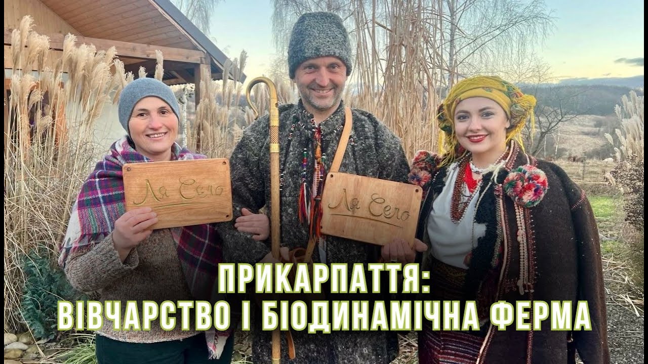 Містичне Прикарпаття. Як на полонині зберегли вівчарство та створили біодинамічну ферму.