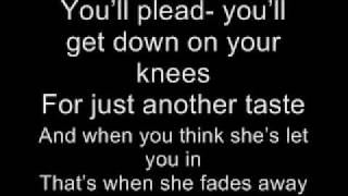 Kings of leon - molly&#39;s chambers lyrics