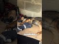 Recuperación de caramelo perrito atropellado en carrizal la llovizna enero 2026