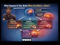 Your brain decides to like or skip in 3 seconds 🧠