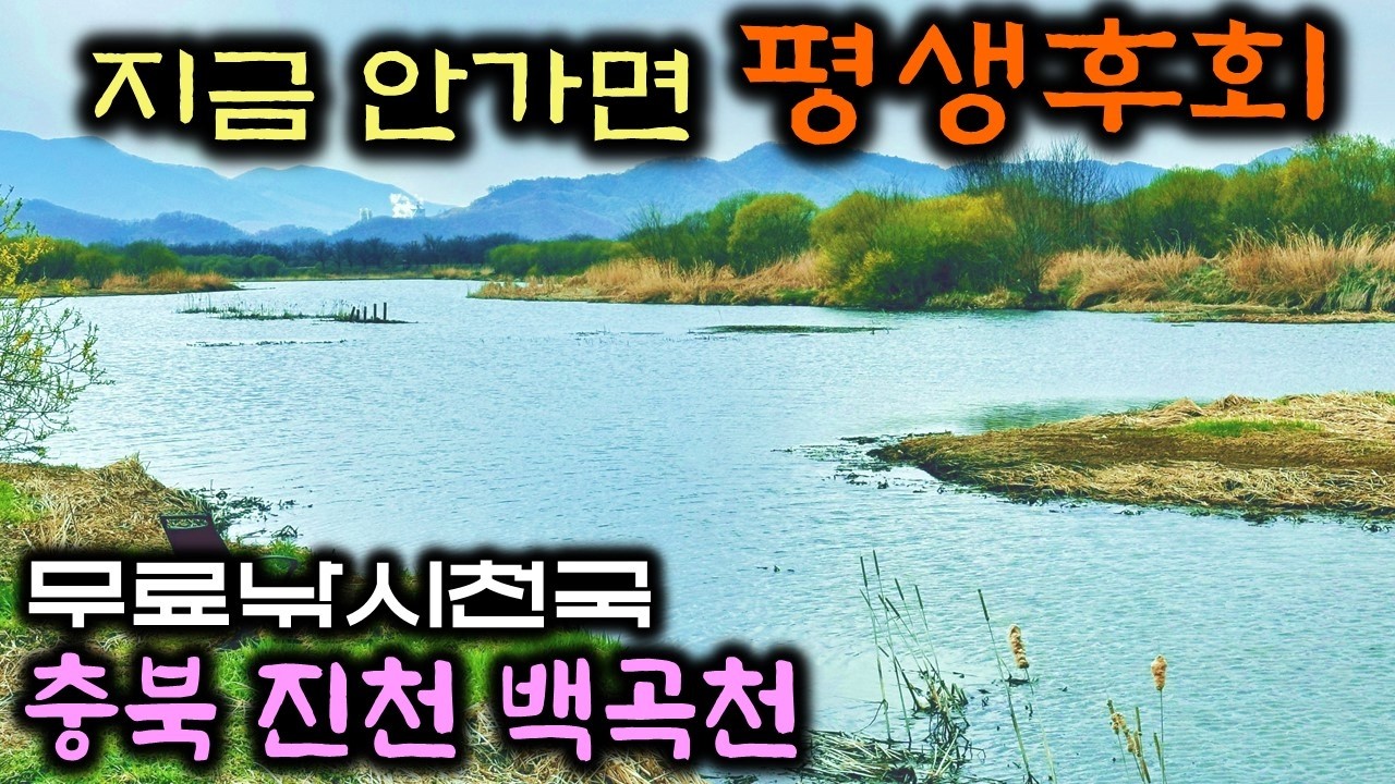 (주소공개)👽정체를 알 수 없는 녀석들의 무차별 공격 상황, 충북 진천군 백곡천 무료낚시터에서 지렁이 붕어 낚시의 시간 #민물낚시 #무료낚시터 #낚시