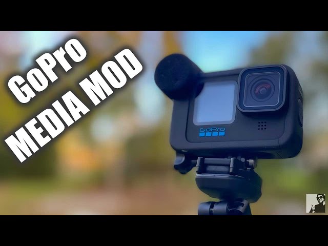 Is The MEDIA MOD Worth it for GoPro Hero10? class=