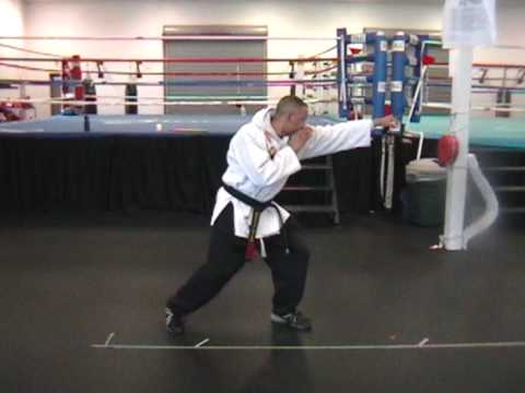 Comba-Tai Simple Angular Attack Jab