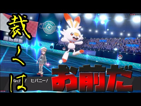 ソードシールド ヒバニーの種族値 わざ 特性など能力と入手方法 ポケモン剣盾 攻略大百科