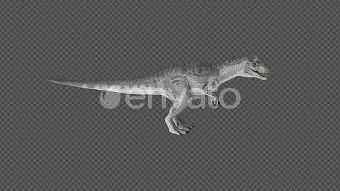 Allosaurus Dinosaur Roar Startled Swim 12 In 1 | Motion Graphics - Envato elements