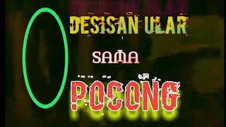 🔴 DESISAN ULAR JELAS DI KUPING,SAAT MENANGKAP PERWUJUDAN POCONG