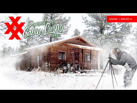 Cabin Life Year in Review and What's To Come in 2022 - S1:E16