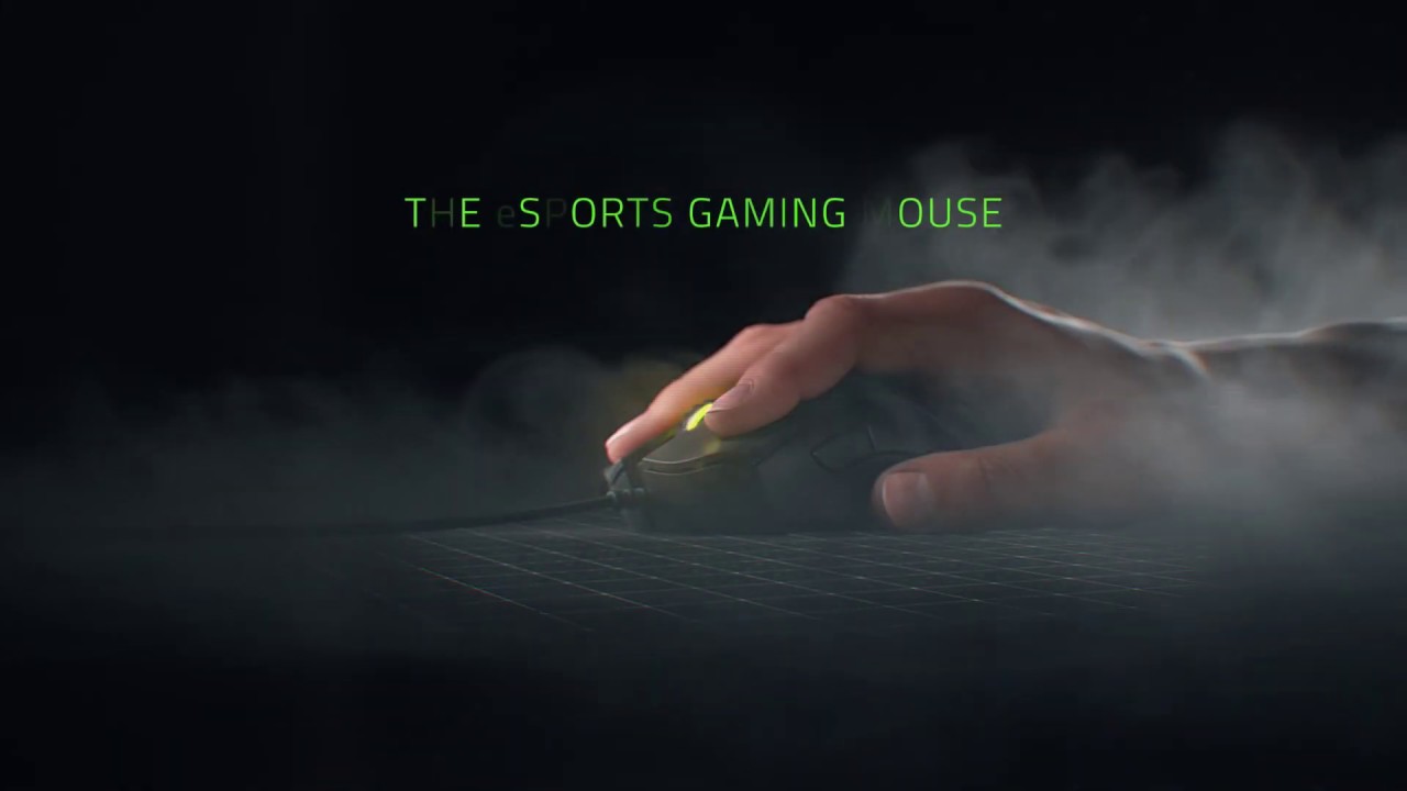 Razer DeathAdder Elite hi-fi earphones