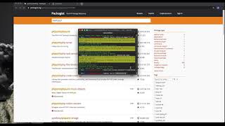 Composer Versions and constraints