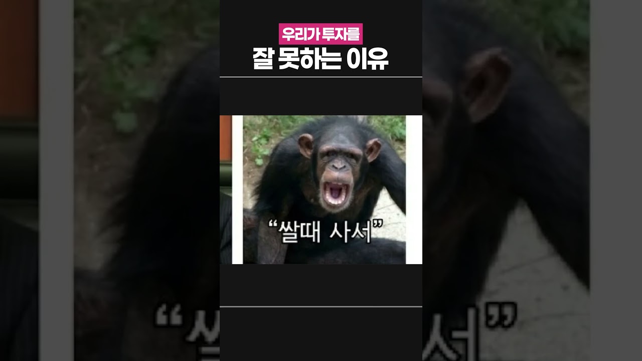 우리가 투자를 못 하는 이유