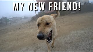 I Made a Friend Trekking Alone in Nepal