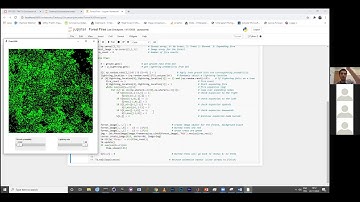 Simulation of Complex Systems 2020 - Class 6 - Cellular automata