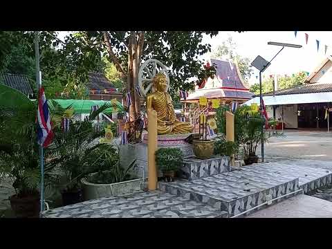 ผลสลากกินแบ่งรัฐบาล วันที่ 1 พย. 2567