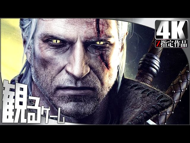 The Witcher 2 Assassins of Kings（ウィッチャー2 王の暗殺者）英語