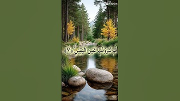 #اكسبلور#المصحف #سورة التكاثر#قران_كريم #duet