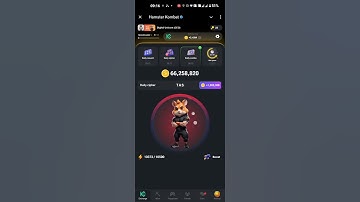 Daily Cipher 15 August Hamster Kombat #hamsterkombat #ciphercodes #hamstergaming