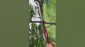 Tôi làm con dao quắm phát rẫy bằng thép trục tàu ngầm chặt cây như chặt chuối vậy thật hiếm gặp