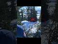 Rabbit hunt at forest plus snow #chasse #blackwolf #hunting #wildlife #snow #rabbit