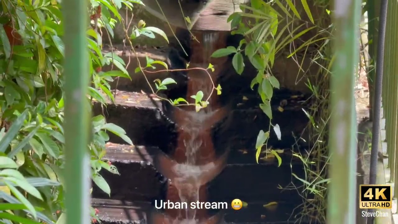 Sometimes peace is found along the way | Pandan to Clementi PCN | Relaxing Ride 