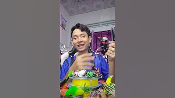 máy câu đứng quốc dân giá rẻ nhất #thanhdang2 #cancaulure #cancaumay