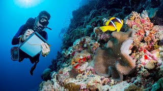 Interview with Harriet Bolt, Marine Biologist at the UK Hydrographic Office