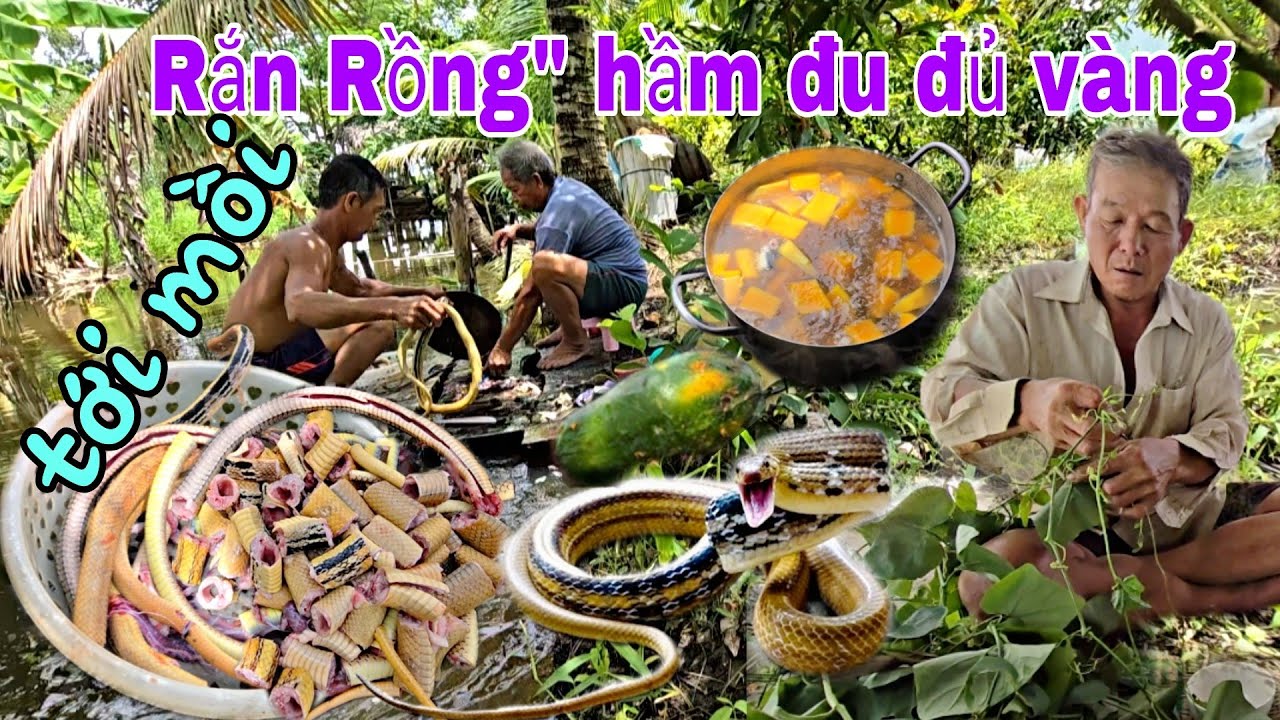 Tới Công chuyện với nồi Rắn hầm Đu Đủ ,món ăn dân dã được mấy anh em chế biến lai rai mùa nước nổi 