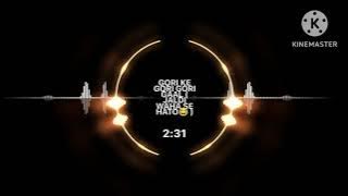 Gori ke gori gori gaal bilashpur ma //cg ut dj zone