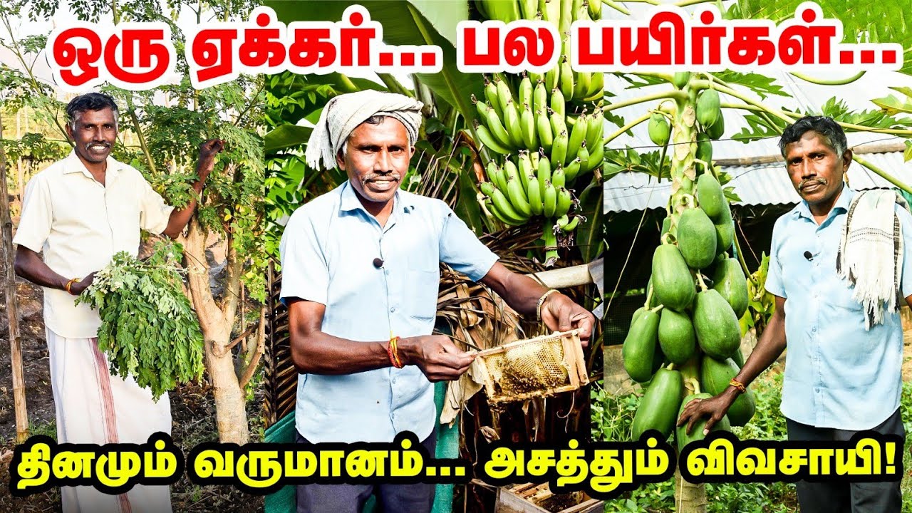 Multi Cropping: ஒரு ஏக்கரில் பல பயிர்கள் - உழவர் சந்தையில் நேரடி விற்பனை - அசத்தும் சேலம் விவசாயி!