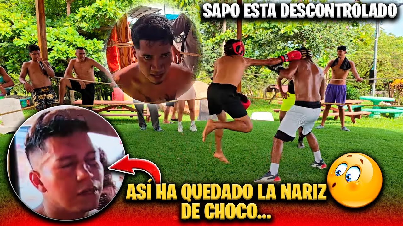 Miren que feo le agarro a Sapo contra su contrincante Jilo. Así ha quedado Choco después de pelear