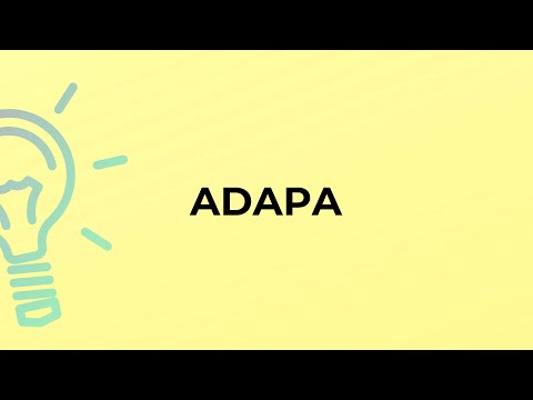 Vídeo: Qual é o significado do adapa?