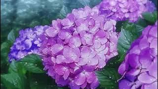 sabrina claudio - stand still (slowed//reverb)