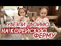 КОРЕЯ ВЛОГ| НАСТОЯЩАЯ ФЕРМА В КОРЕЕ| РАЗВЛЕЧЕНИЯ ДЛЯ ДВОЙНИ