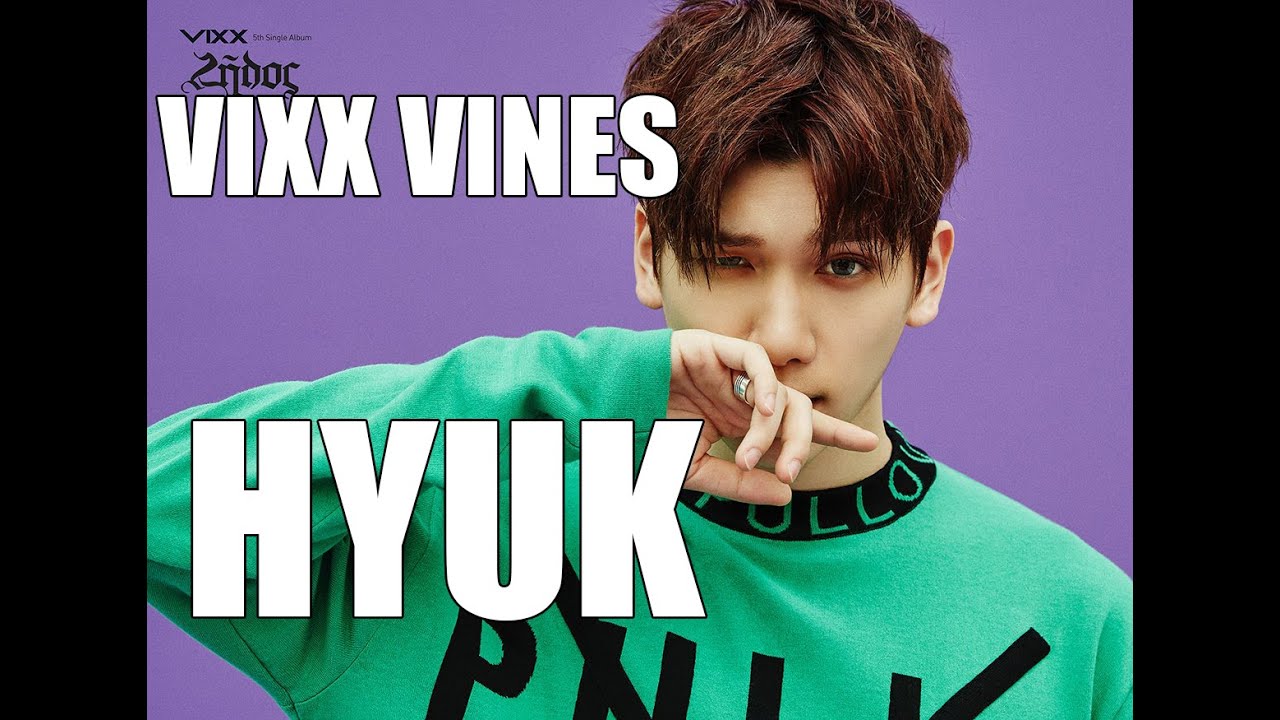 VIXX Vines - Hyuk