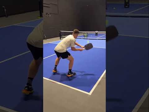 Video Pickleball_Shot Drops: 3 common shots #professionalpickleball #pickleballtips #drop - youtube
