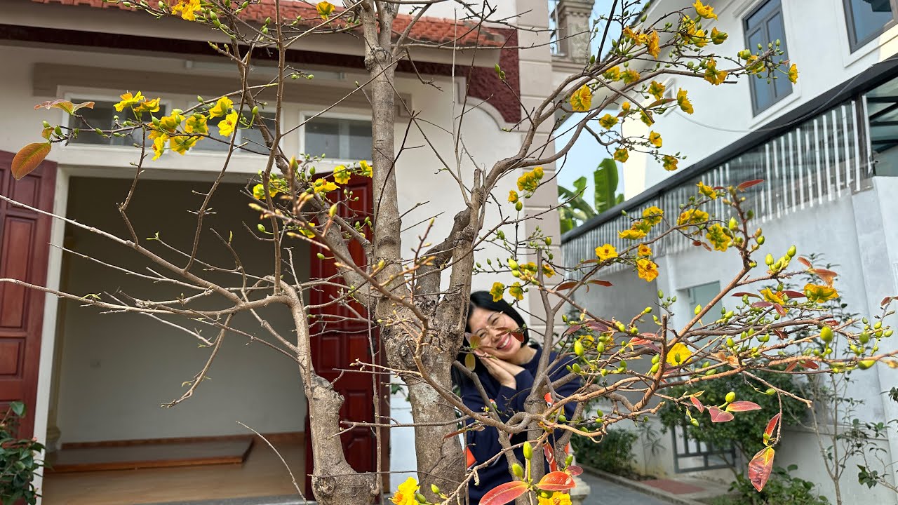 VƯỜN BONSAI NHỮNG NGÀY CUỐI NĂM - XUÂN VỀ TRÊN BẢN N2T