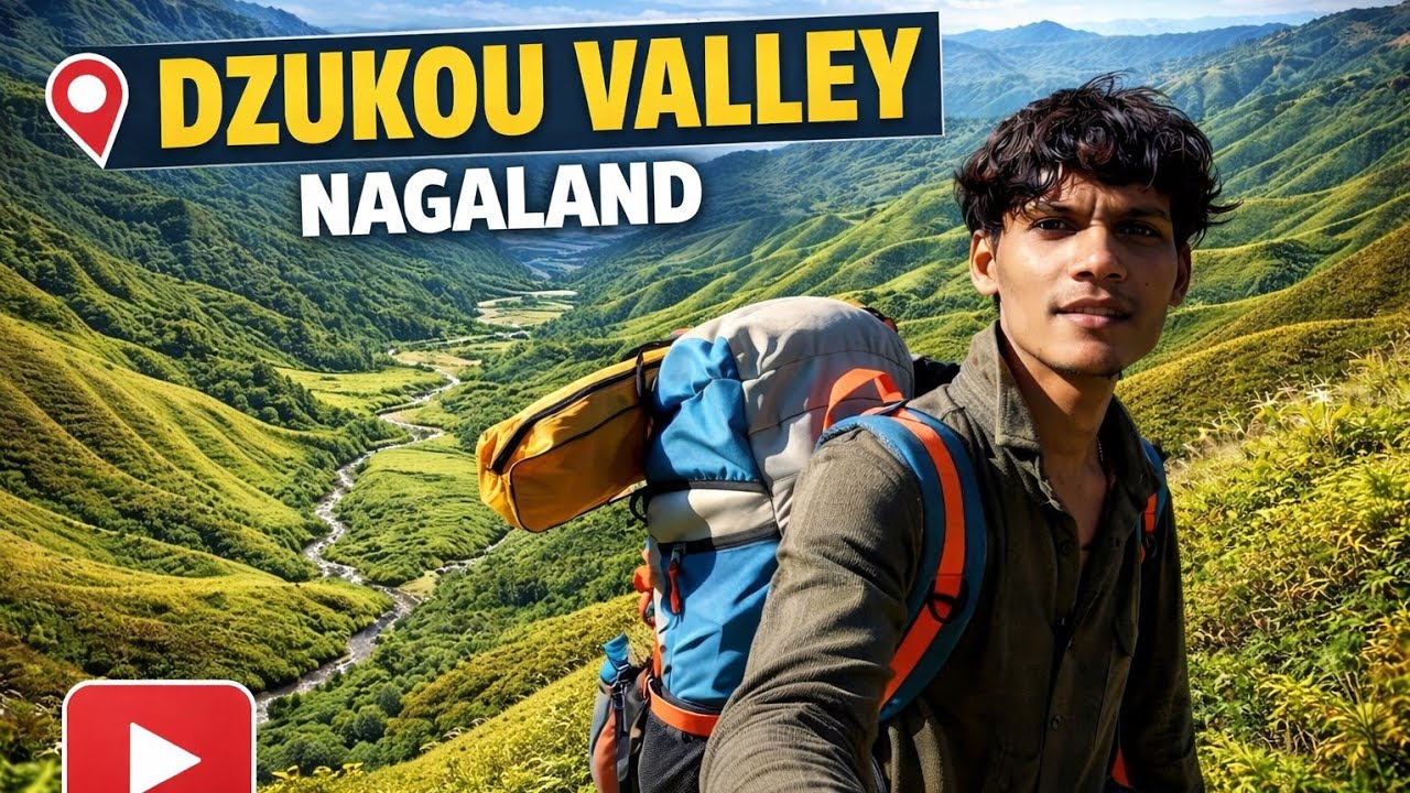 Dzukou Valley Trek Nagaland 😍 | India ka Sabse Beautiful Hidden Valley🥰 