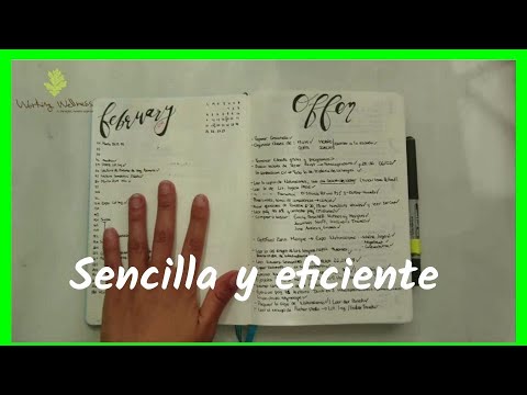 Como tener mas tiempo con esta herramienta sencilla y eficiente. Serie 2/3 automasaje reductor