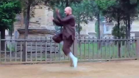 Shi Xing Long - Da Pao Quan - 大炮拳